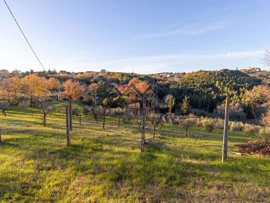 Immagine 8 di Casa indipendente in vendita  a Pomarance