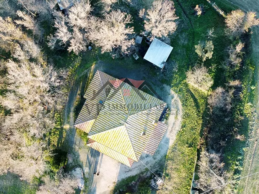 Immagine 9 di Casa indipendente in vendita  a Pomarance