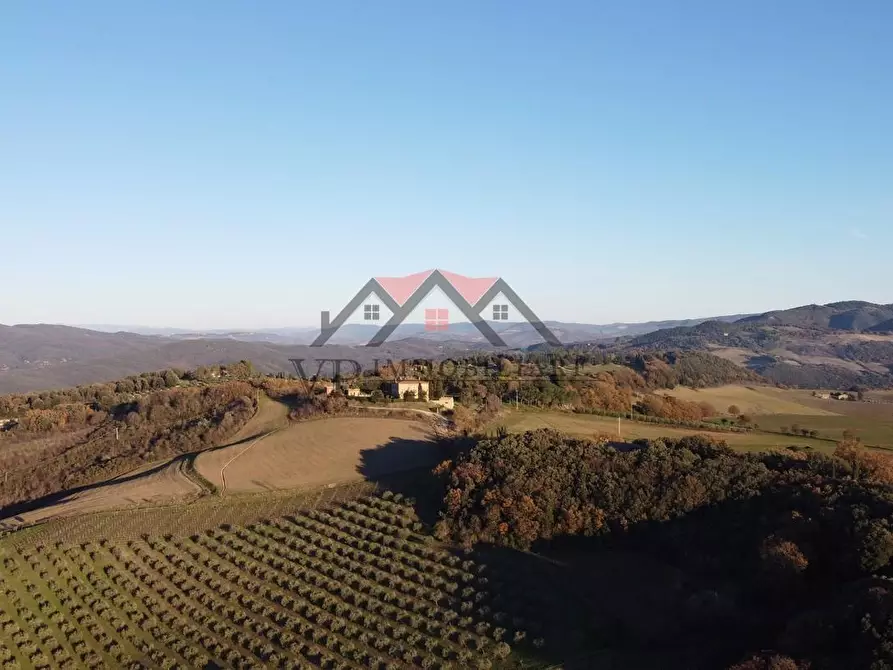 Immagine 11 di Casa indipendente in vendita  a Pomarance