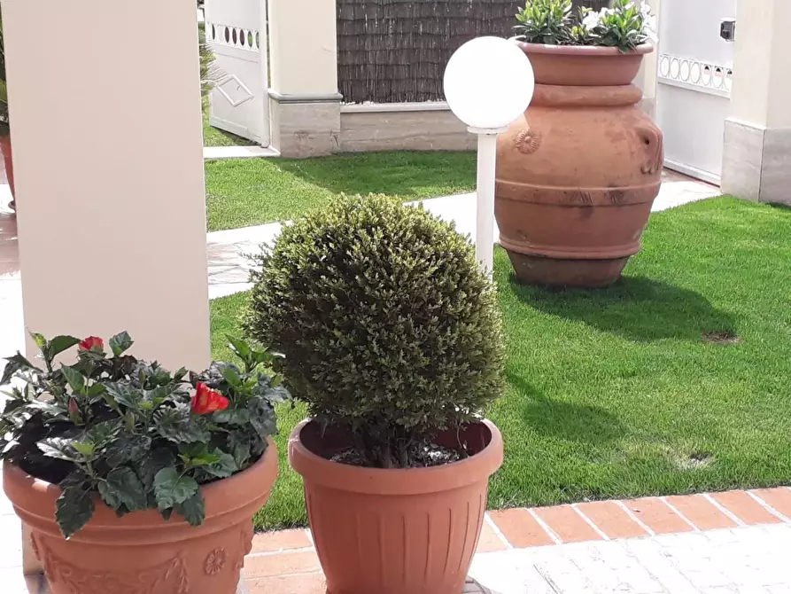 Immagine 46 di Casa bifamiliare in affitto  a Forte Dei Marmi