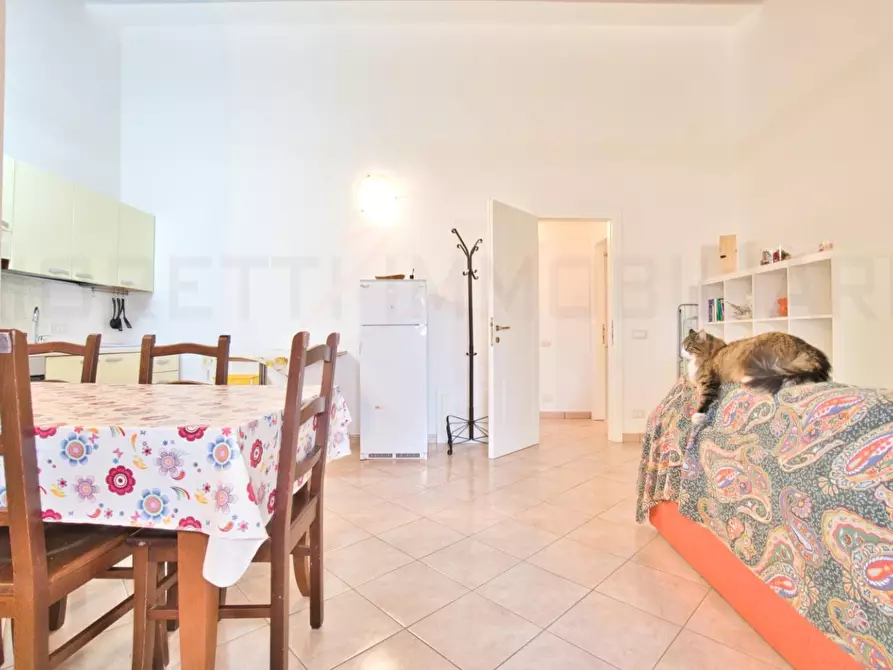 Immagine 14 di Appartamento in vendita  a Campiglia Marittima