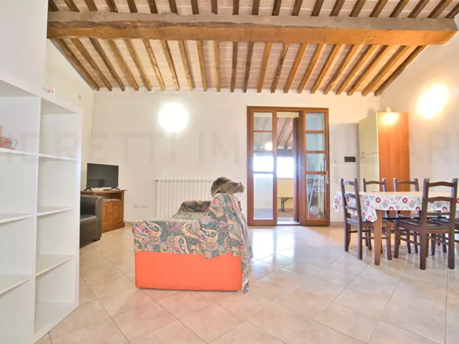 Immagine 9 di Appartamento in vendita  a Campiglia Marittima