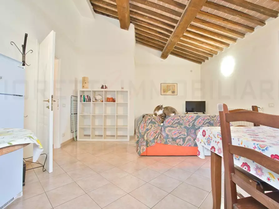 Immagine 12 di Appartamento in vendita  a Campiglia Marittima