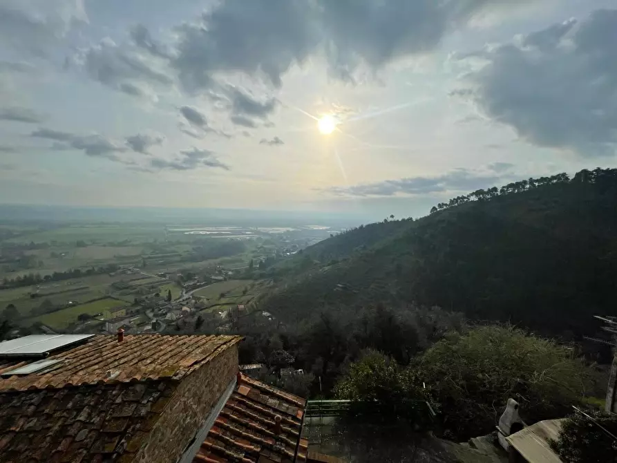 Immagine 7 di Terratetto in vendita  a Capannori
