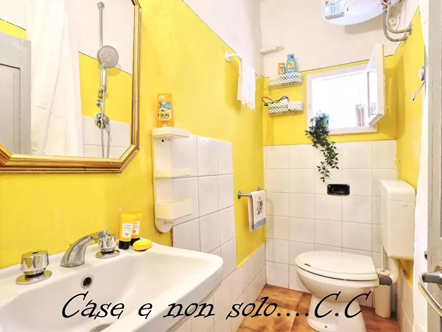 Immagine 12 di Appartamento in vendita  a Castagneto Carducci