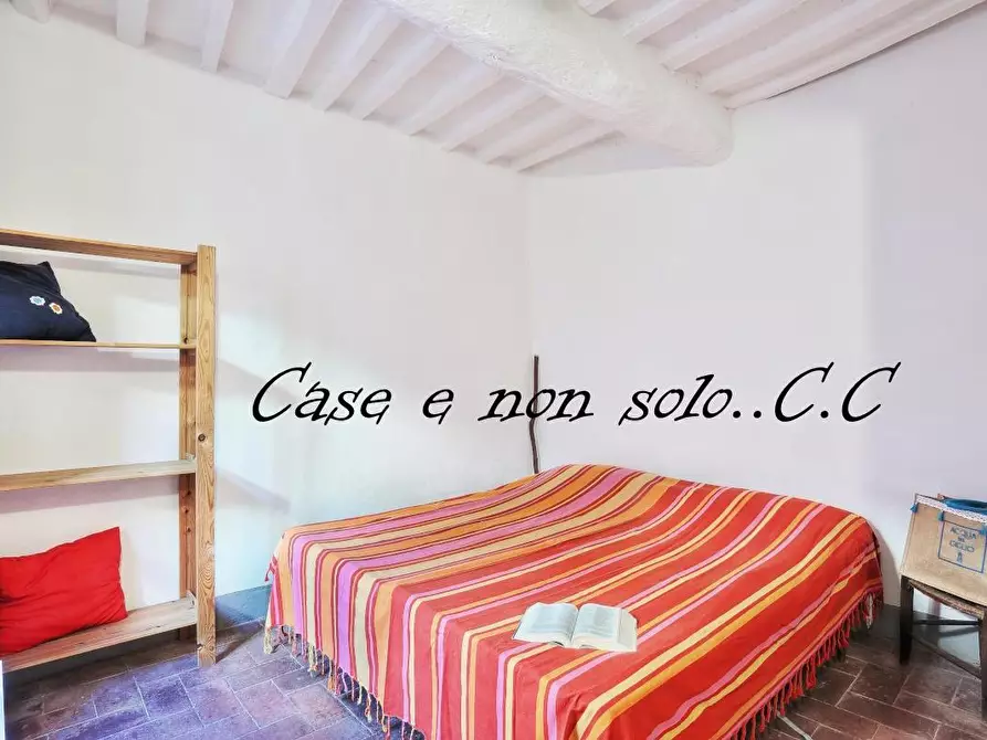 Immagine 11 di Appartamento in vendita  a Castagneto Carducci