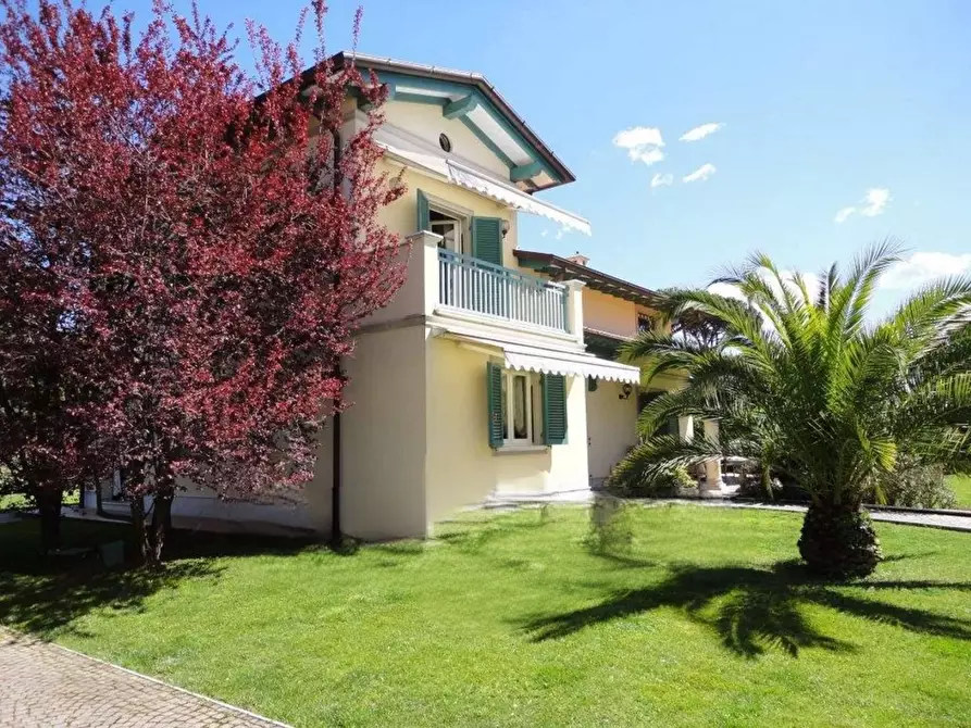 Immagine 5 di Villa in affitto  a Forte Dei Marmi