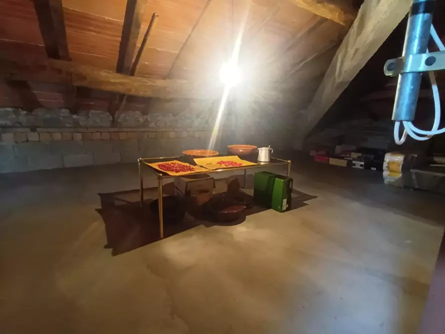 Immagine 12 di Villa in vendita  a Lucca