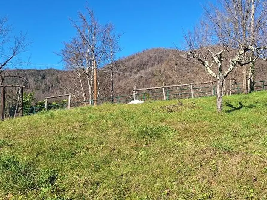 Immagine 24 di Terratetto in vendita  a Coreglia Antelminelli