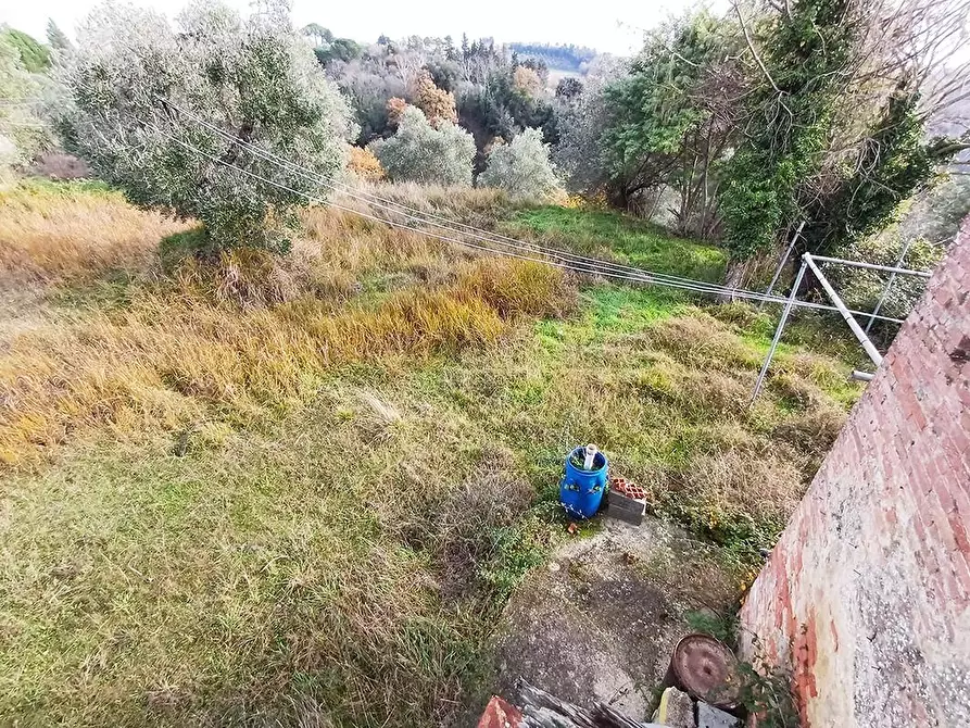 Immagine 27 di Casa colonica in vendita  a Palaia
