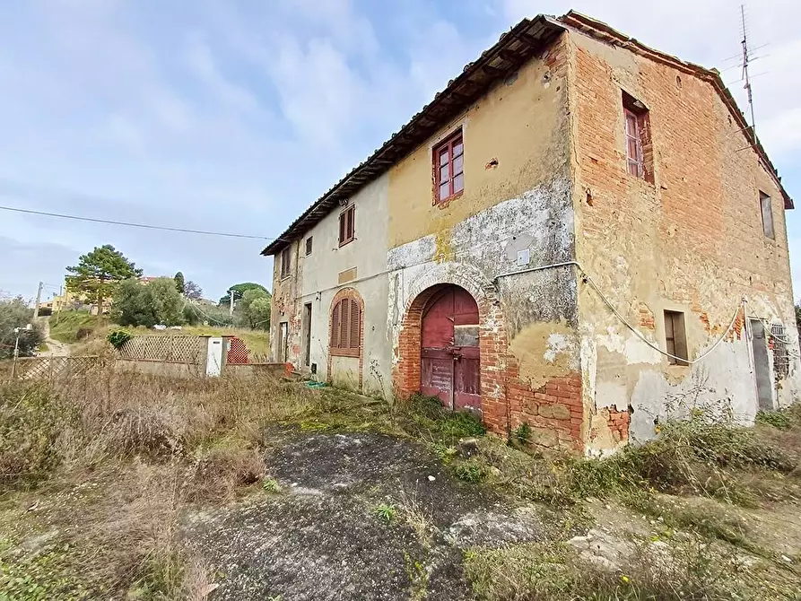 Immagine 26 di Casa colonica in vendita  a Palaia