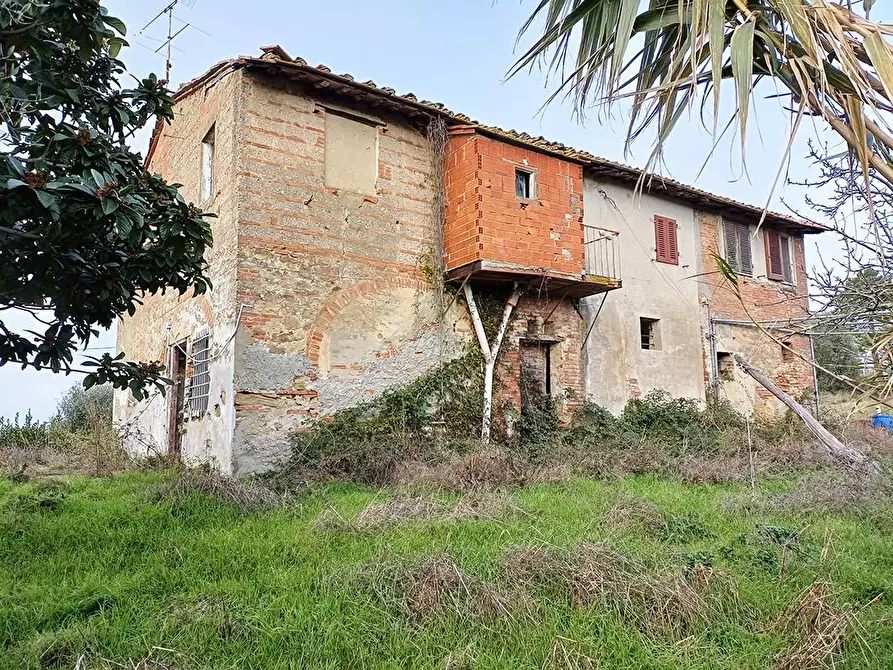 Immagine 20 di Casa colonica in vendita  a Palaia