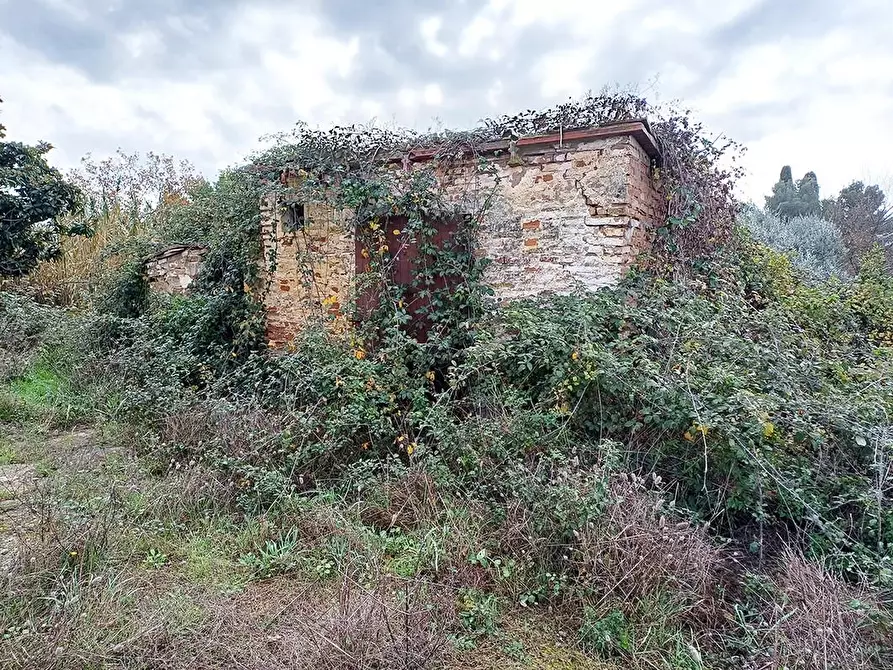 Immagine 23 di Casa colonica in vendita  a Palaia