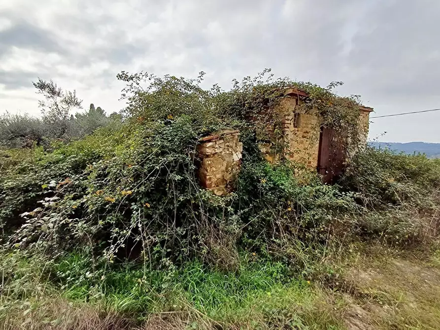 Immagine 25 di Casa colonica in vendita  a Palaia