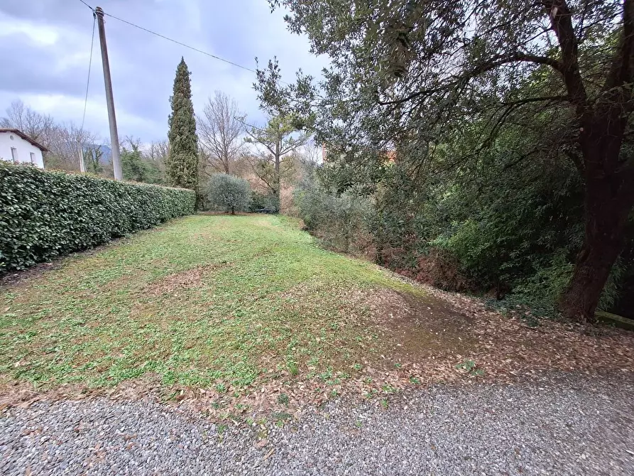 Immagine 3 di Terratetto in vendita  a Capannori