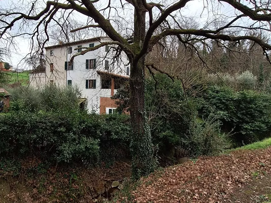 Immagine 2 di Terratetto in vendita  a Capannori