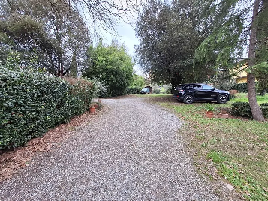 Immagine 9 di Terratetto in vendita  a Capannori