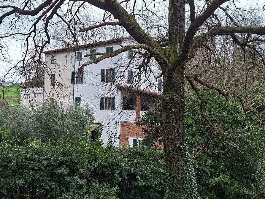 Immagine 29 di Terratetto in vendita  a Capannori