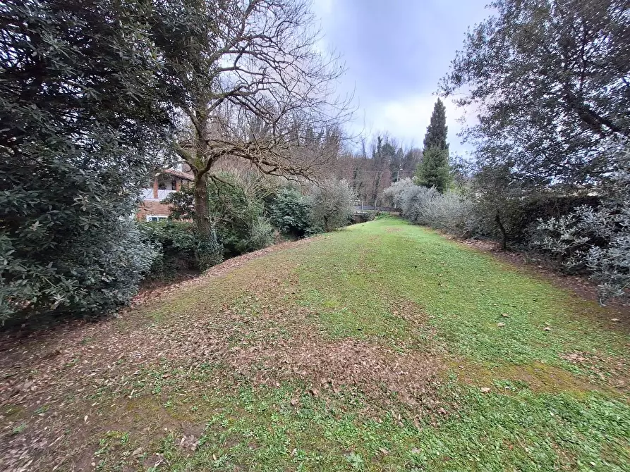 Immagine 36 di Terratetto in vendita  a Capannori