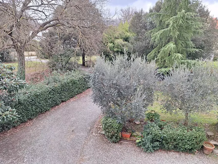 Immagine 13 di Terratetto in vendita  a Capannori