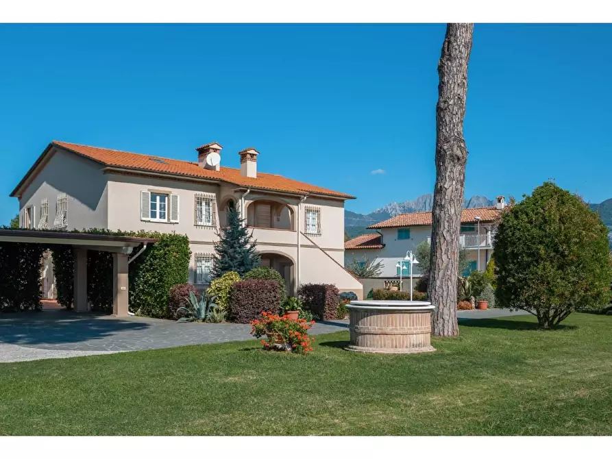 Immagine 4 di Villa in affitto  a Pietrasanta