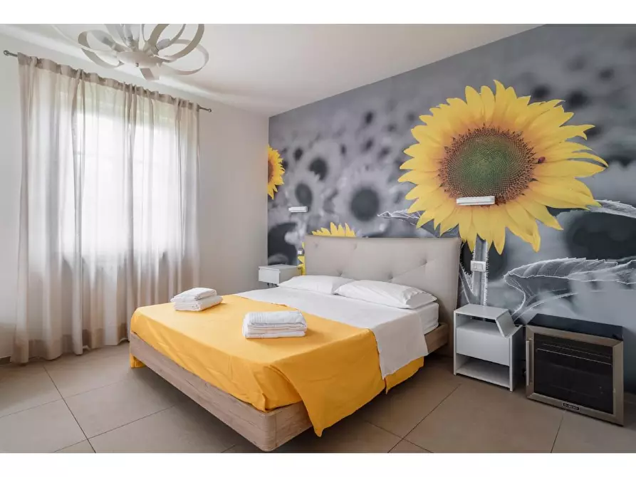 Immagine 15 di Villa in affitto  a Pietrasanta