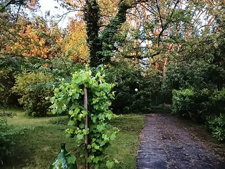 Immagine 29 di Casa bifamiliare in vendita  a Massa