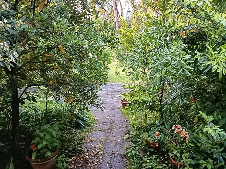 Immagine 31 di Casa bifamiliare in vendita  a Massa