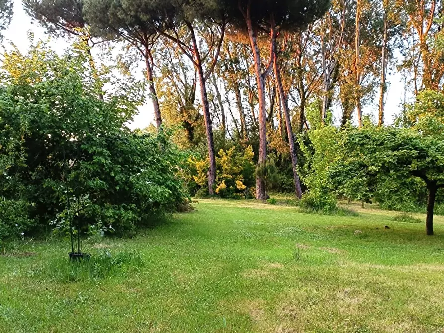 Immagine 28 di Casa bifamiliare in vendita  a Massa