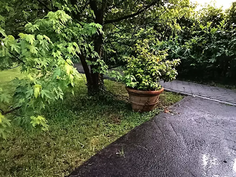 Immagine 32 di Casa bifamiliare in vendita  a Massa