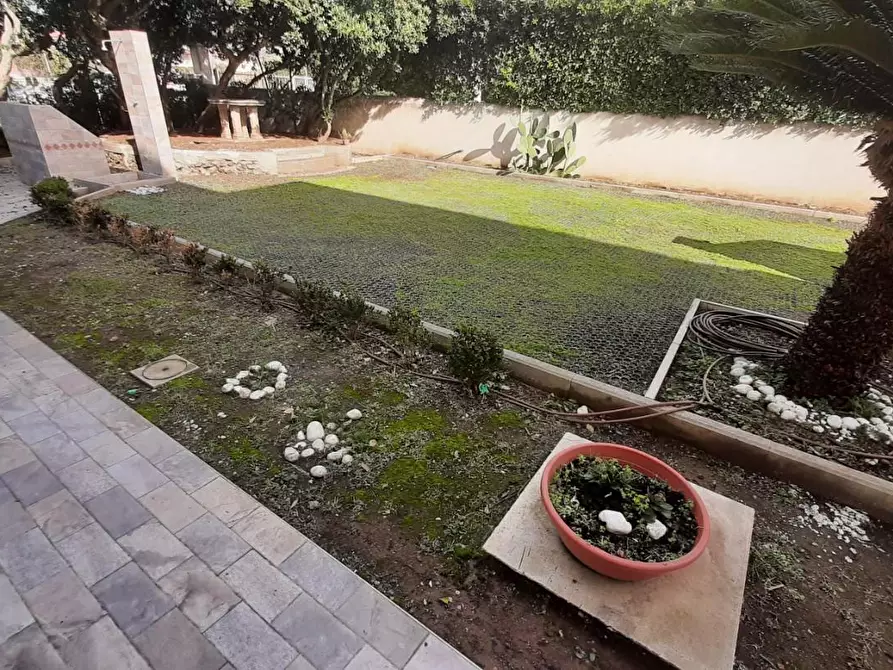 Immagine 7 di Appartamento in vendita  a Rosignano Marittimo
