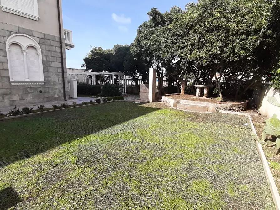 Immagine 6 di Appartamento in vendita  a Rosignano Marittimo