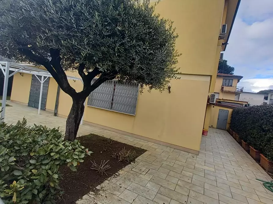 Immagine 23 di Appartamento in affitto  a Camaiore