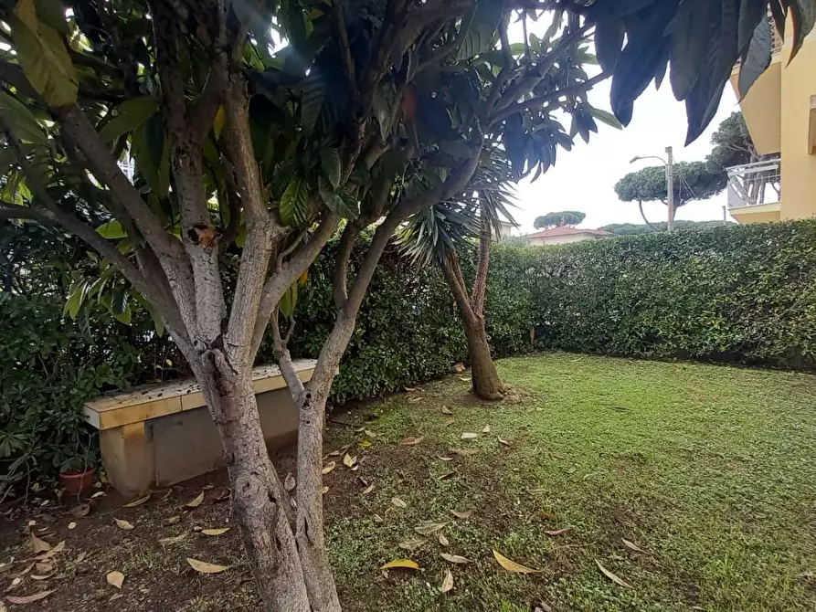 Immagine 29 di Appartamento in affitto  a Camaiore