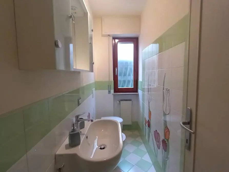 Immagine 19 di Appartamento in affitto  a Camaiore