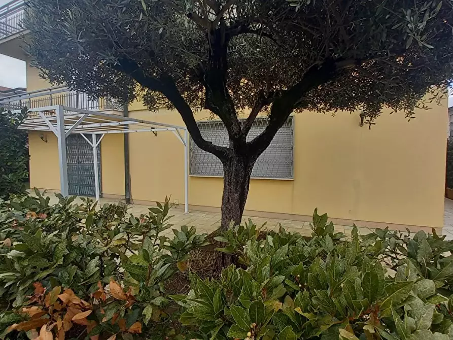 Immagine 12 di Appartamento in affitto  a Camaiore