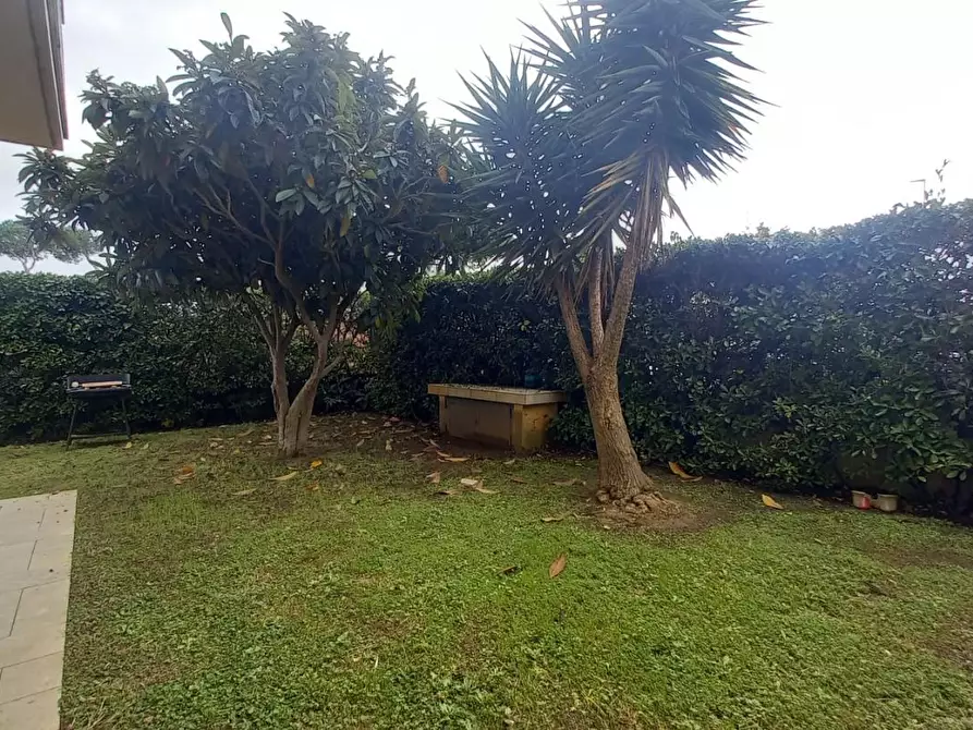 Immagine 27 di Appartamento in affitto  a Camaiore