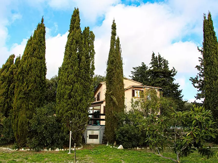 Immagine 46 di Casa colonica in vendita  a Riparbella