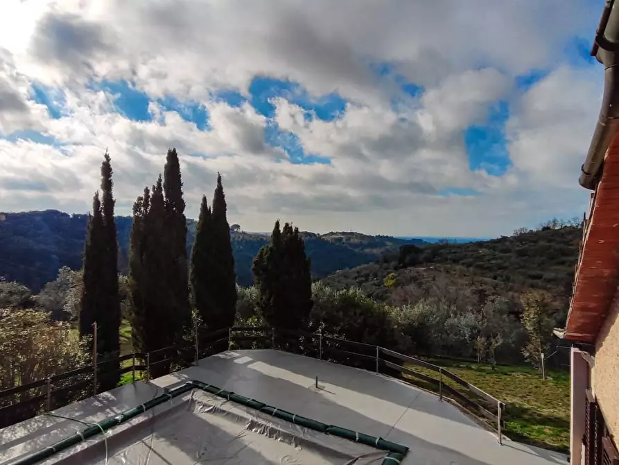 Immagine 40 di Casa colonica in vendita  a Riparbella