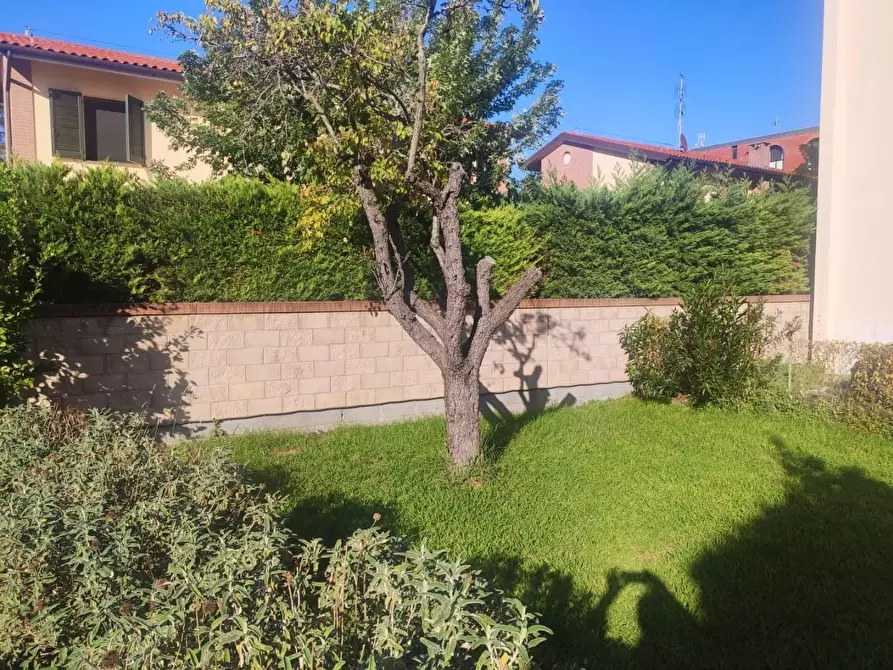 Immagine 5 di Appartamento in affitto  a Pisa