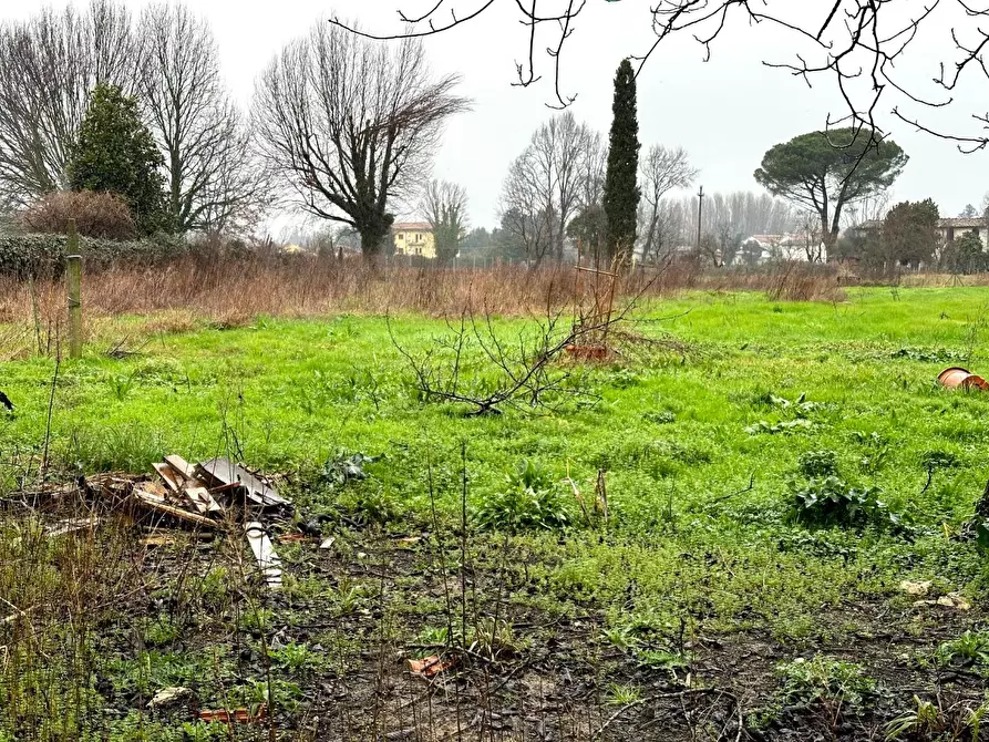 Immagine 25 di Villa in vendita  a Capannori