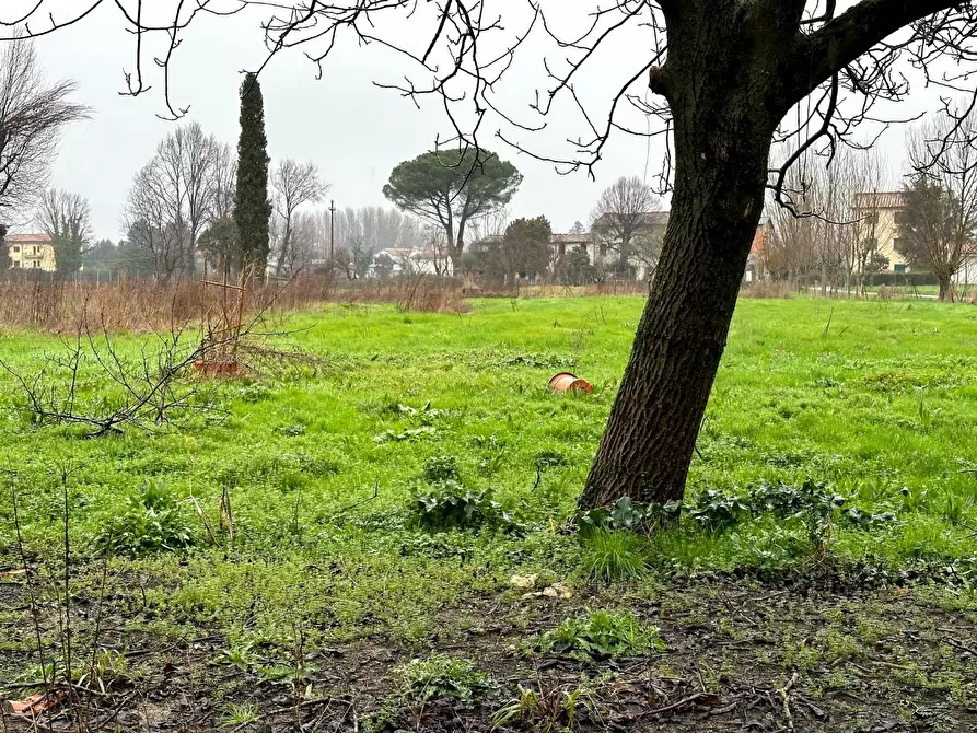 Immagine 23 di Villa in vendita  a Capannori