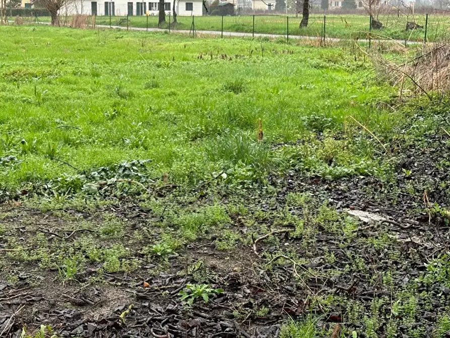 Immagine 24 di Villa in vendita  a Capannori