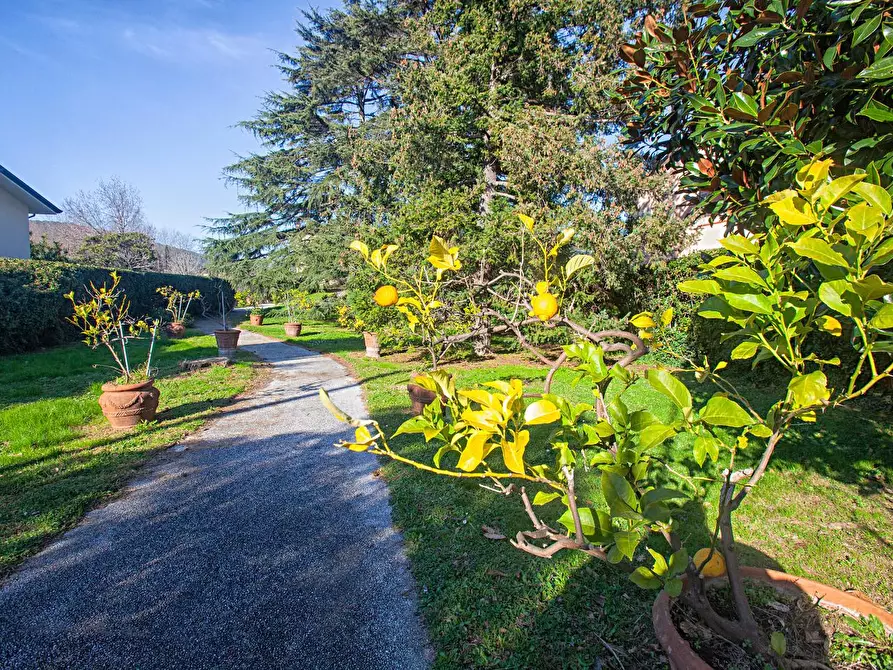 Immagine 2 di Villa in vendita  a San Giuliano Terme