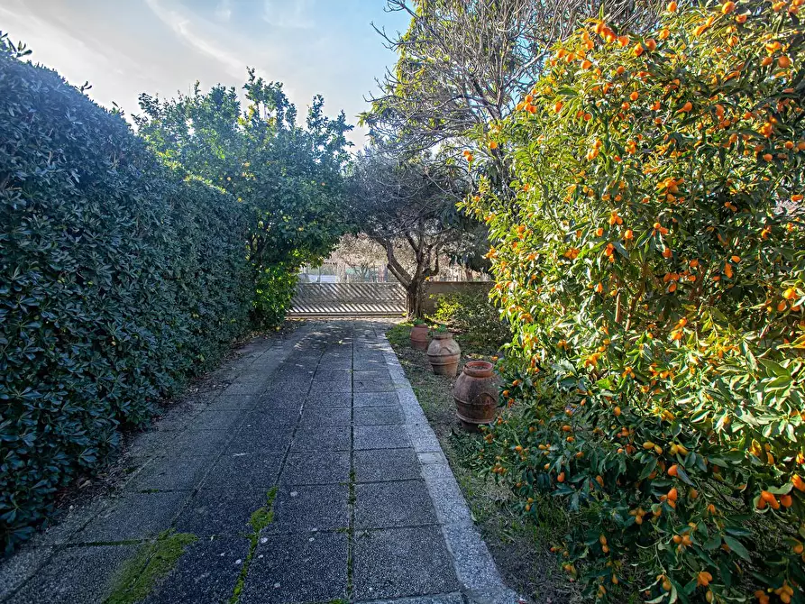 Immagine 3 di Villa in vendita  a San Giuliano Terme