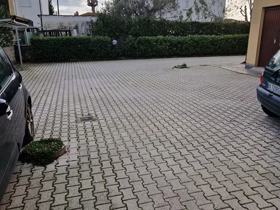 Immagine 23 di Appartamento in vendita  a Vecchiano