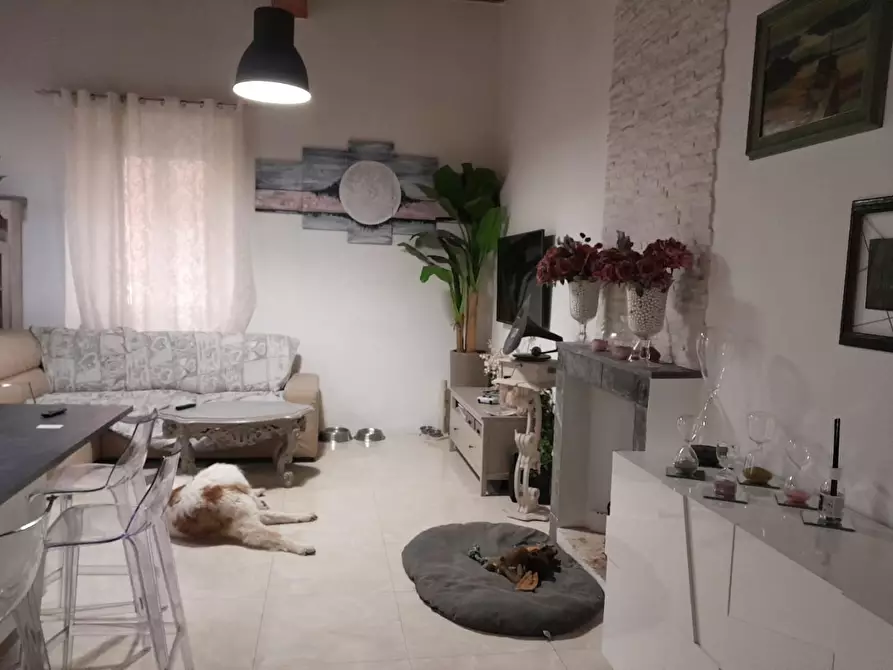 Immagine 3 di Appartamento in vendita  a Livorno