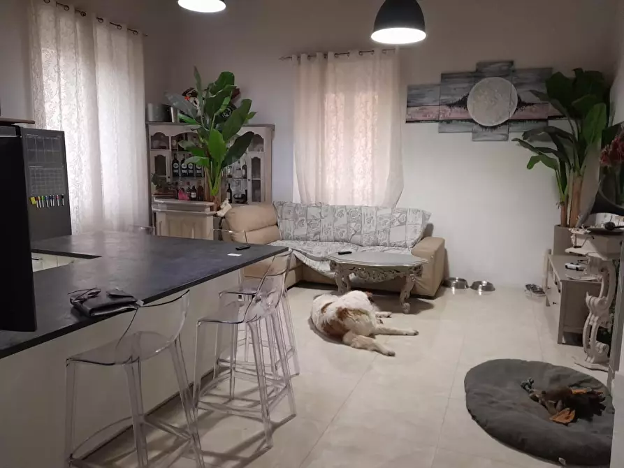 Immagine 2 di Appartamento in vendita  a Livorno