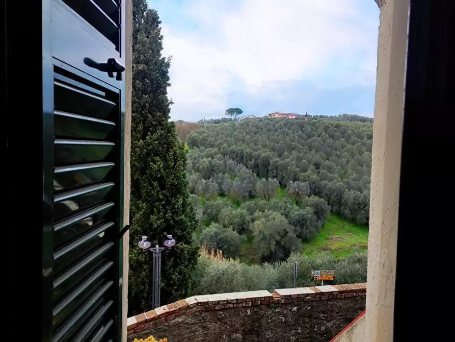 Immagine 4 di Terratetto in vendita  a Vinci