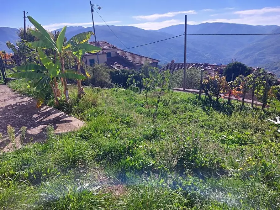 Immagine 16 di Terratetto in vendita  a Bagni Di Lucca